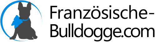 Französische Bulldogge
