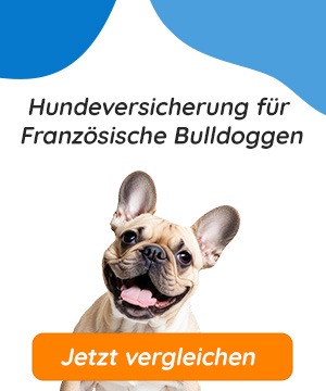 Hundeversicherung für Französische Bulldoggen